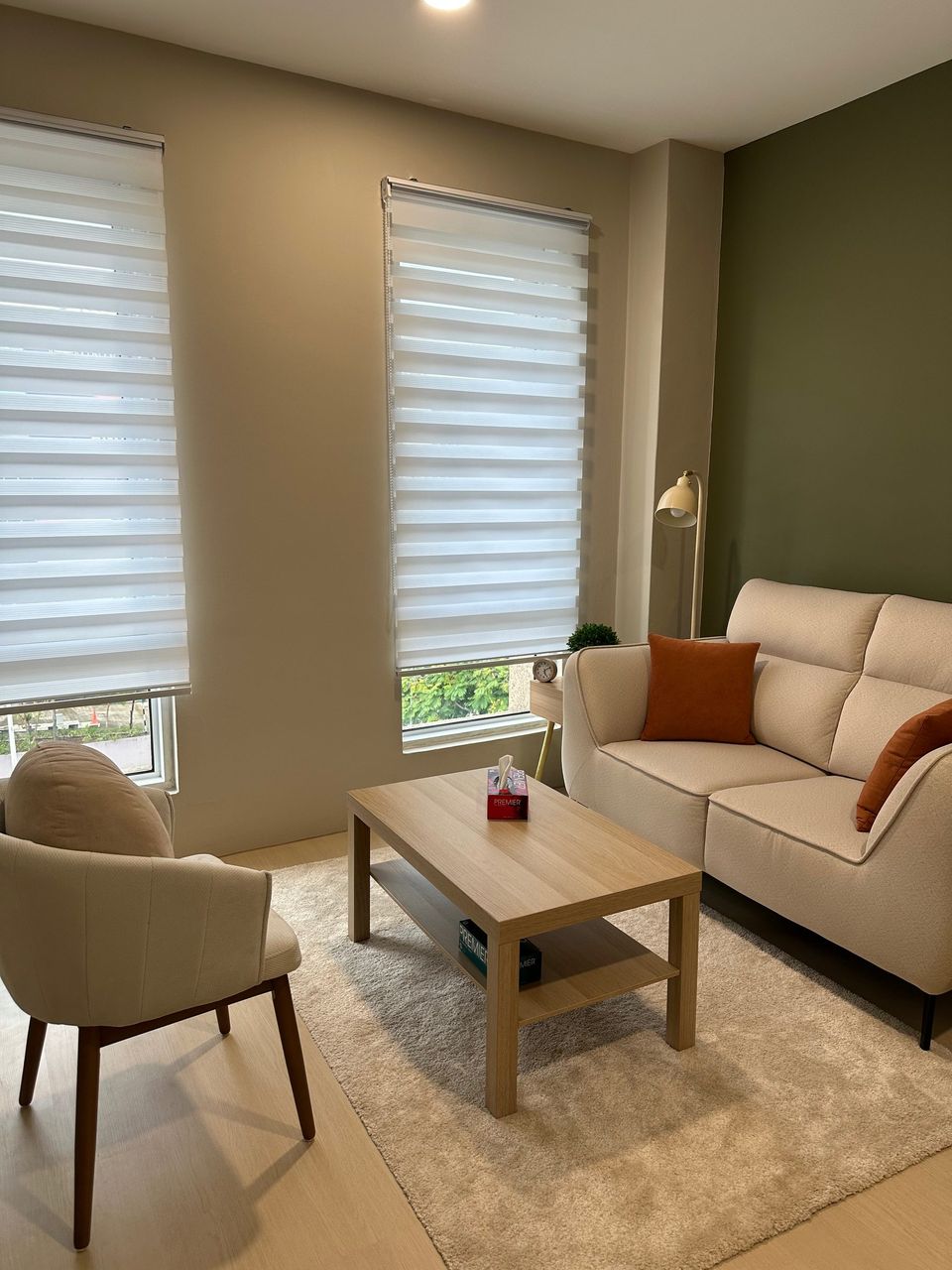 The Olive Room: a cream sofa with rust cushions, an olive-green wall, a wooden coffee table and two windows